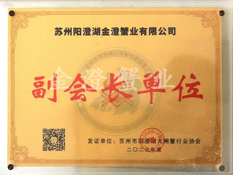 副会长单位