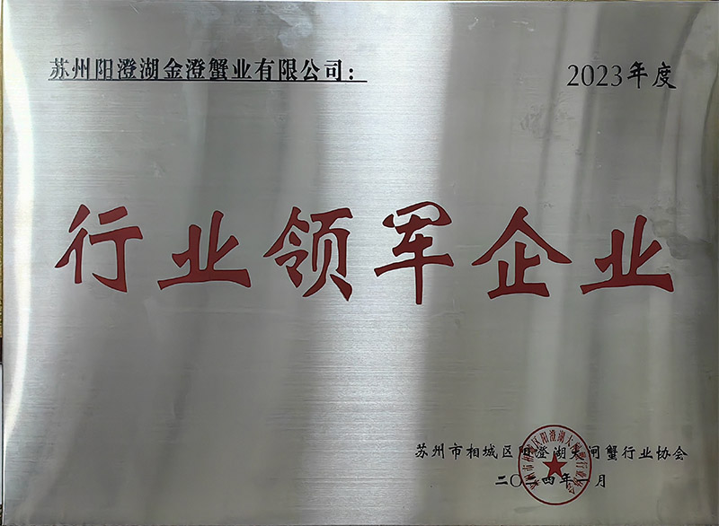 行业领军企业